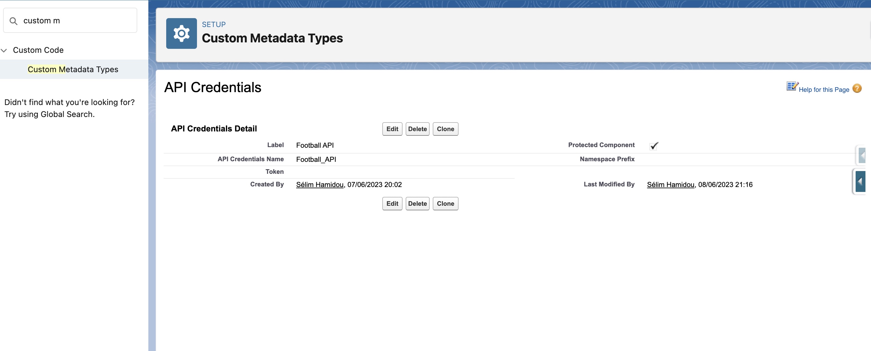 Custom Metadata Type Record