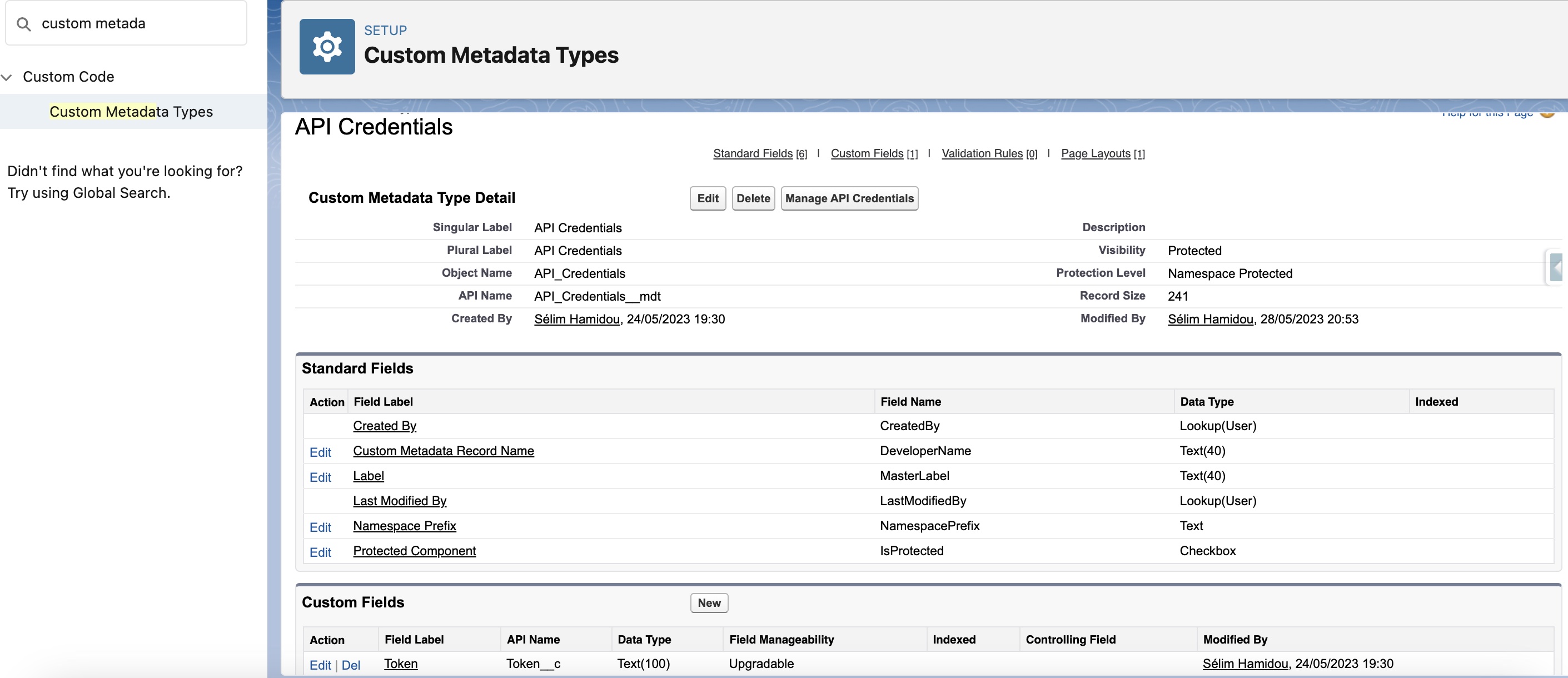 Custom Metadata Type Object
