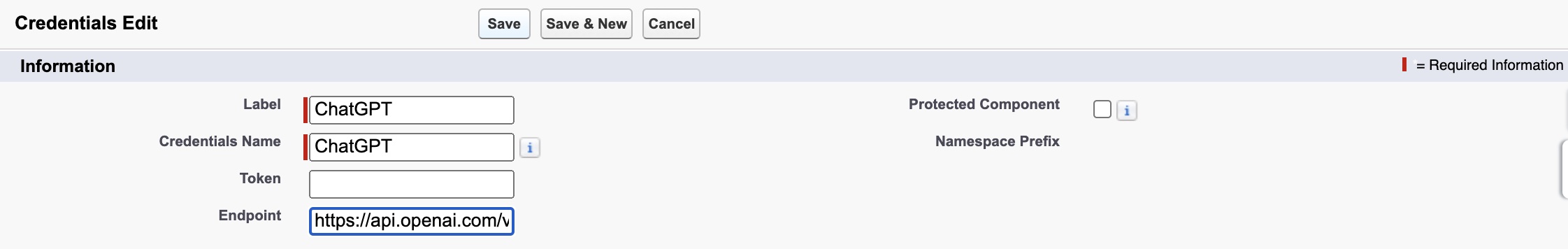 Creating Credentials Custom Metadata Type Record For ChatGPT