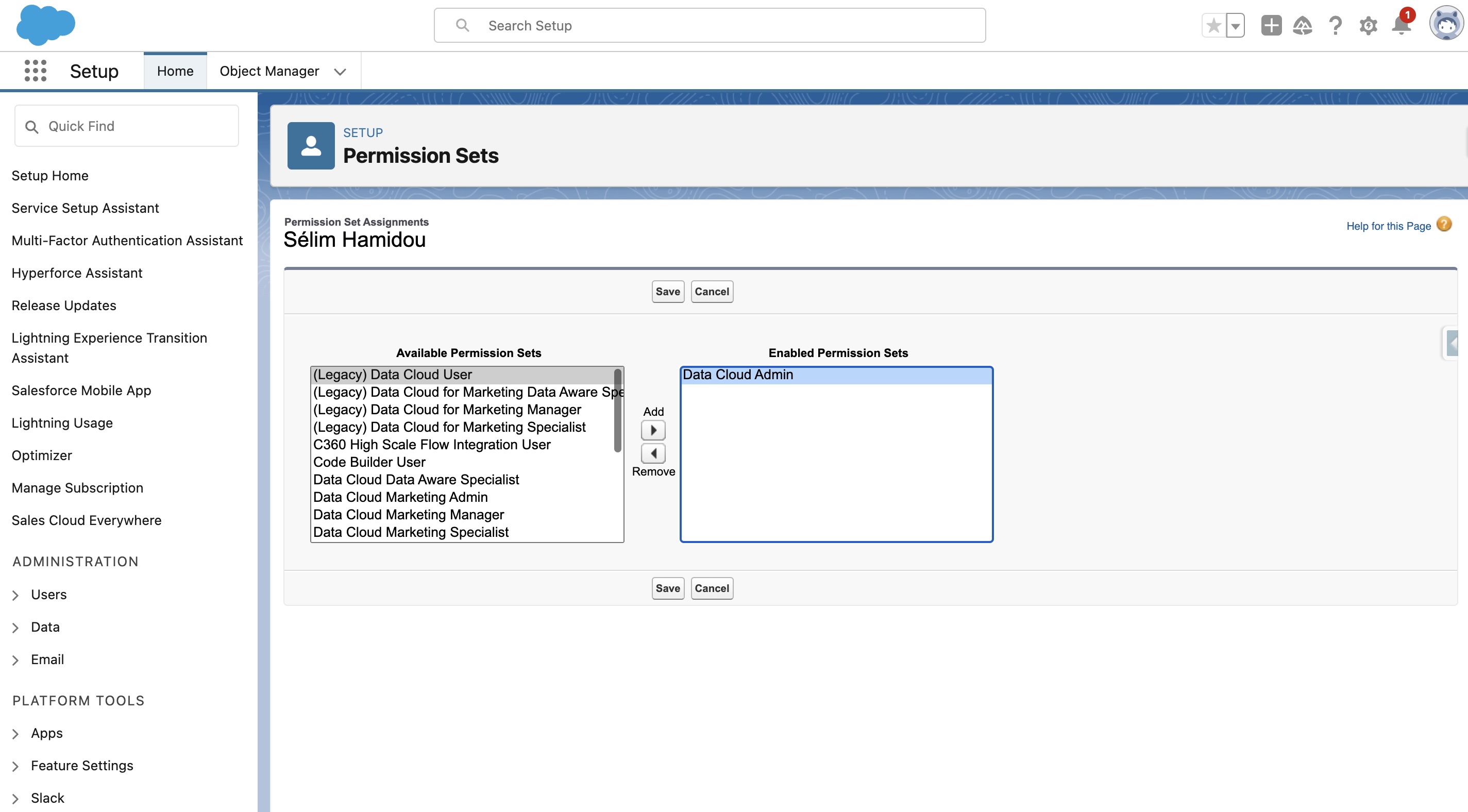 Salesforce Data Cloud Permission Sets to get