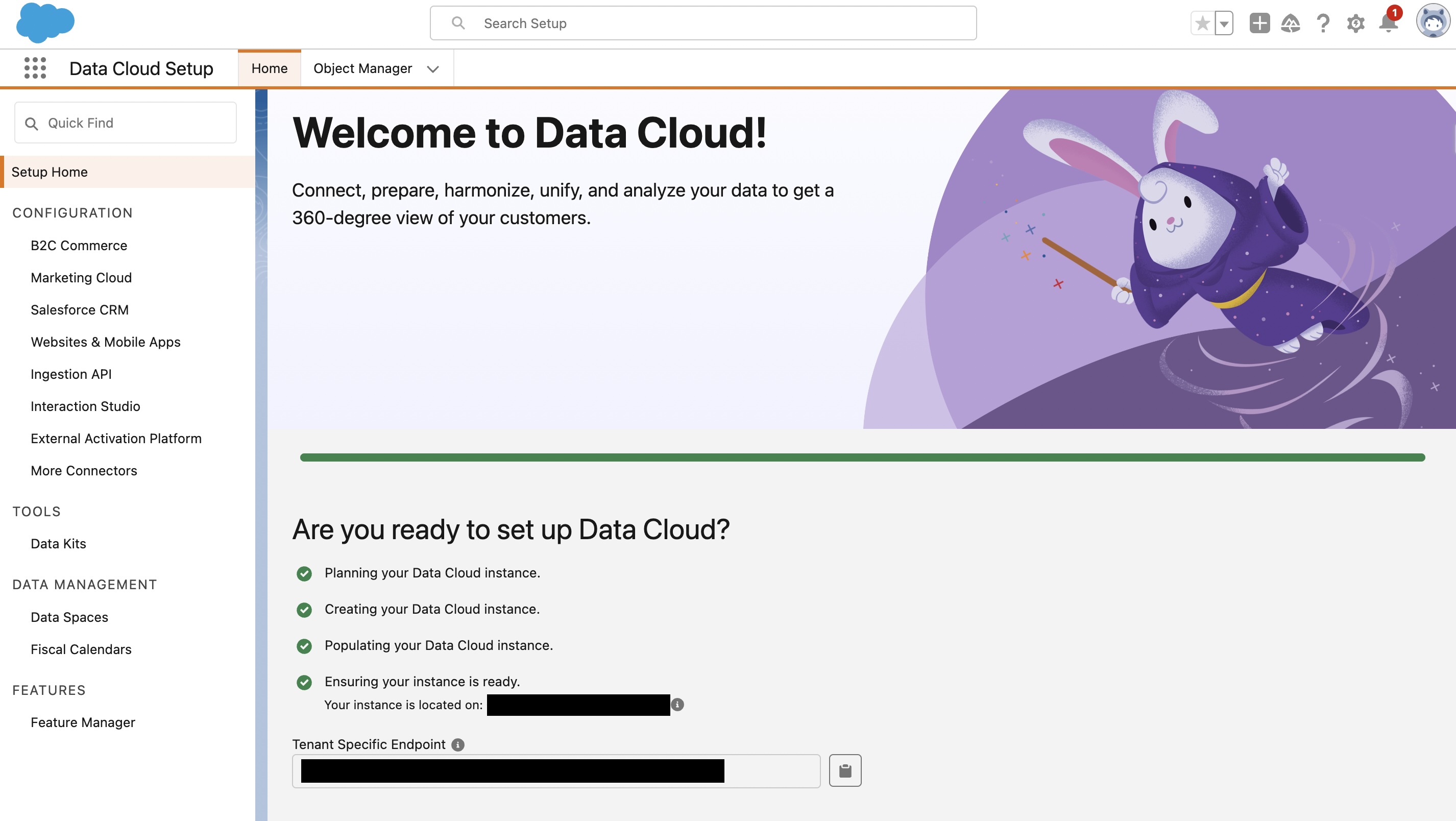 Data cloud setup
